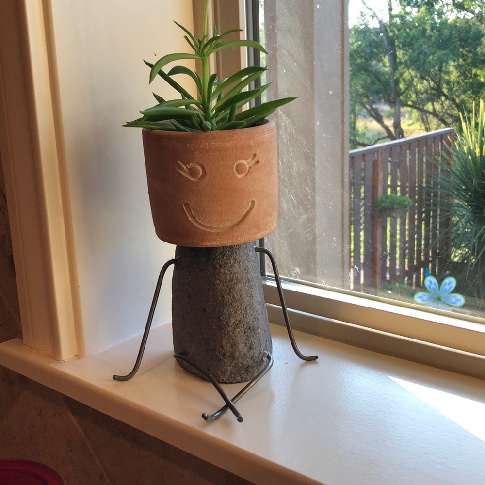 Meet your Posher, Darla